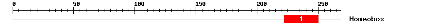 Signature Domain