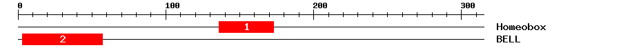 Signature Domain