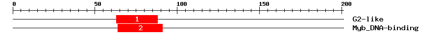 Signature Domain