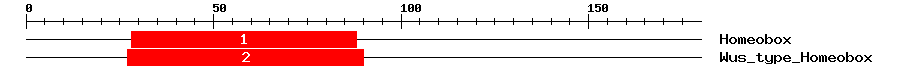 Signature Domain