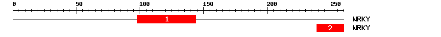 Signature Domain
