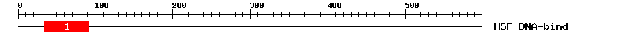 Signature Domain