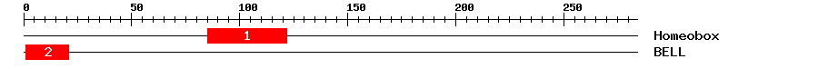 Signature Domain