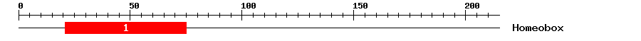Signature Domain