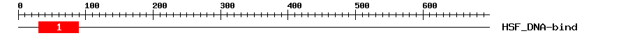 Signature Domain