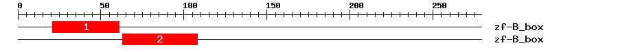 Signature Domain