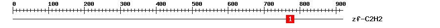 Signature Domain