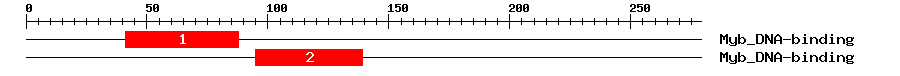Signature Domain