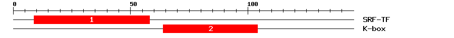 Signature Domain