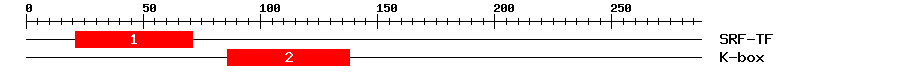 Signature Domain