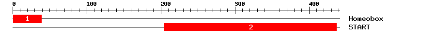 Signature Domain