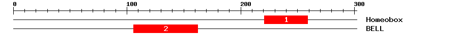 Signature Domain