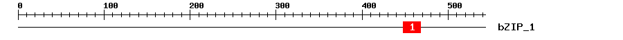 Signature Domain
