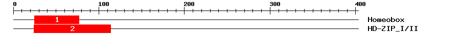 Signature Domain