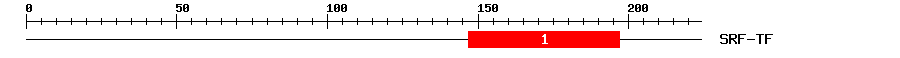 Signature Domain