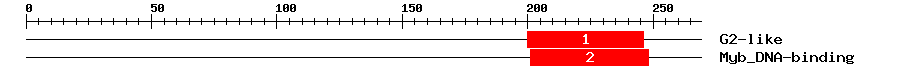 Signature Domain
