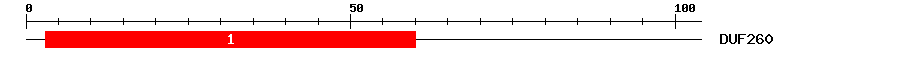 Signature Domain
