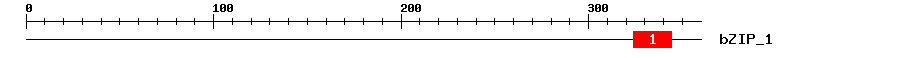 Signature Domain