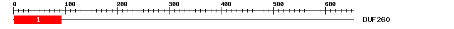 Signature Domain