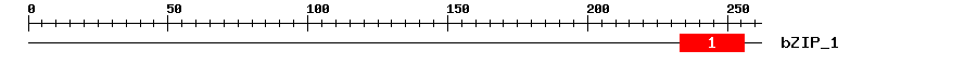 Signature Domain