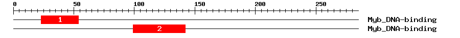 Signature Domain