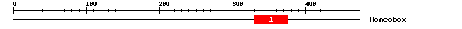 Signature Domain