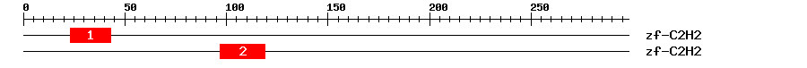 Signature Domain