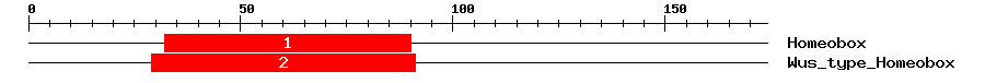 Signature Domain