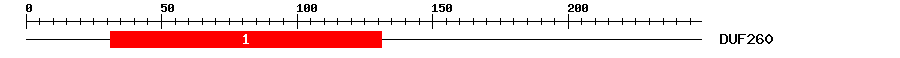 Signature Domain