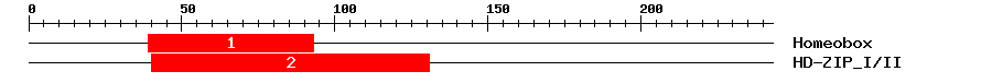 Signature Domain