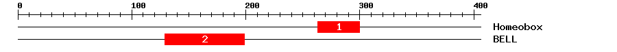 Signature Domain