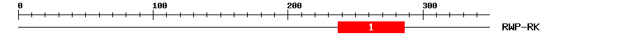 Signature Domain