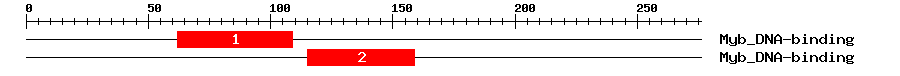 Signature Domain
