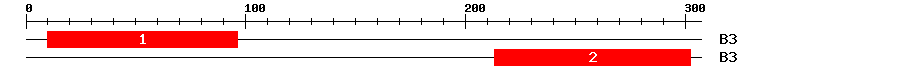 Signature Domain