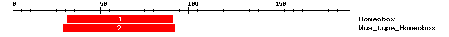Signature Domain