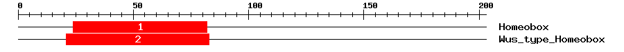Signature Domain