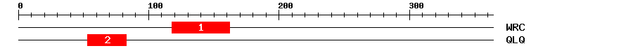 Signature Domain