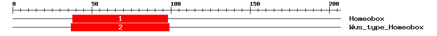 Signature Domain