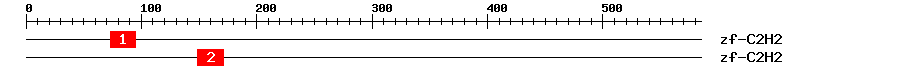 Signature Domain