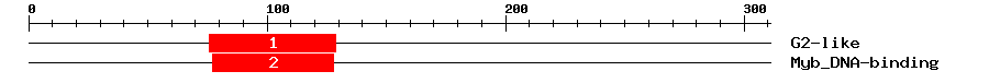 Signature Domain