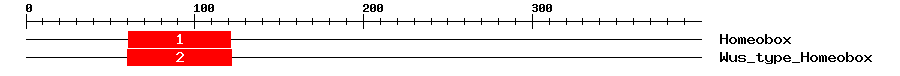 Signature Domain
