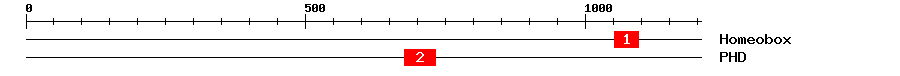 Signature Domain