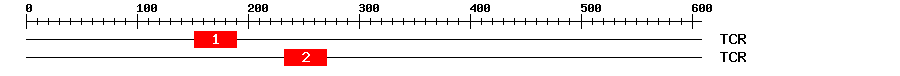 Signature Domain
