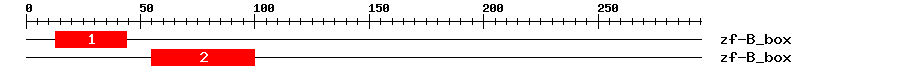Signature Domain