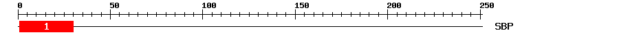 Signature Domain