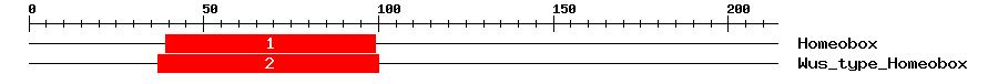 Signature Domain