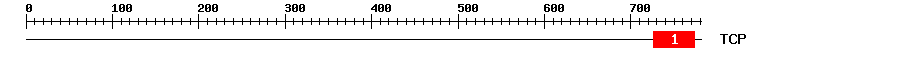 Signature Domain