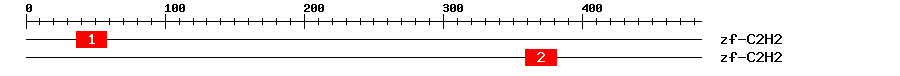 Signature Domain