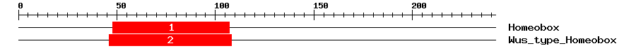 Signature Domain