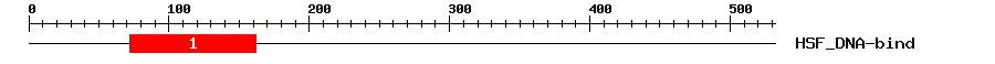 Signature Domain